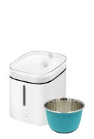 Pet Accessories & Toys