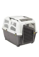 Dogs & Cats Carriers