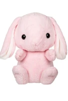 Baby Soft & Plush Toys