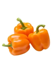 Orange Capsicum