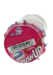 IGLOO PUSH UP 90ML