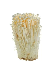 MUSHROOM ENOKI PP