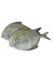 Black pomfret fresh perfume