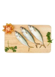 Small fresh mackerel
