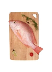 small fresh snapper fish