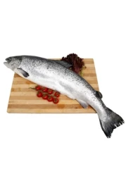 Fresh whole Norwegian salmon 2/3 kg