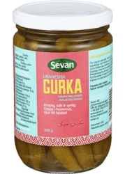 CUCUMBER PICKLE  600 gm