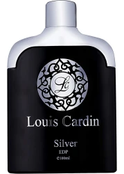 LC perfume Silver Women EDP 100ml