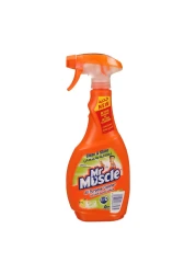 MR MUSCLE ALL PURPOSE CLEANER 500ML