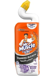 MR MUSCLE TOILET FOAM BLEACH LAVND 750ML