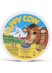 ROUND PORTION CHEESE120G