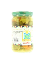 Namakin Salty Mixed Pickles 1.1kg