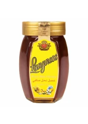 Langnese Pure Bee Honey 250g