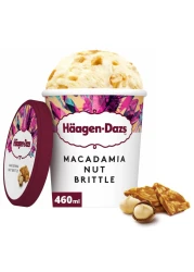 Haagen Dazs Macadamia Nut Brittle Ice Cream 460ml