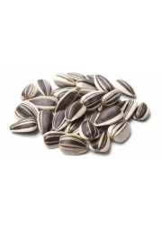 Sunflower Seed Small Striped 500g (Bird Food)