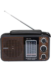 Olsenmark FM/AM/SW Radio and USB/SD/BT Music Player- OMR1239 Good Sound Quality and Low Noise Equipped with Built-In Rechargeable Battery Portable and Lightweight Design Brown, 2 Years W