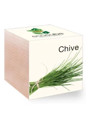 Feel Green - Ecocube Chives, Keep The Ecocube In A Bright,Warm Place In Water