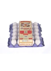 Al Jazira Golden Eggs Omega 3 Medium White 30 PCS