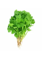 Premium Coriander Herbs (Dhaniya)