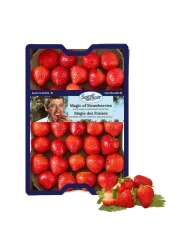 Sanlucar Strawberry 1Kg
