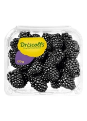 Driscoll's Blackberries 170g