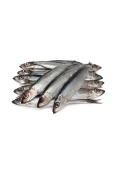 Fresh Anchovies