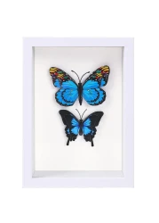 BESIDOTREE 6x8 White Shadow Box Frame Display Case for Photos,Flowers,Wedding Bouquets,Awards,Insects and Memorabilia