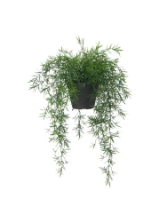 Artificial Potted Plant In/Outdoor Asparagus/Hanging 12 Cm