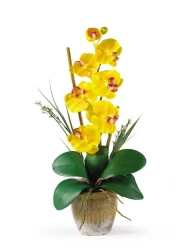 Nearly Natural Phalaenopsis Silk Orchid Flower Arrangement