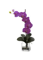 Nearly Natural 1324OR Giant Phalaenopsis Orchid with Vase Arrangement Orchid 15 in x 6 in x 26 in