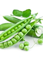 Vsell24 Garden Pea Seeds, 3 Packs of 10g Each, Easy Growing NON-GMO Home Garden Seeds With 98% Cleaness, 95% Purity, 85% Germination Rate