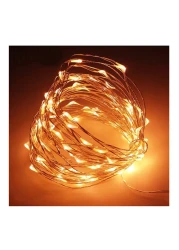 20 LED Outdoor Fairy Copper Wire Super bright Yard Lights Gold 2meter