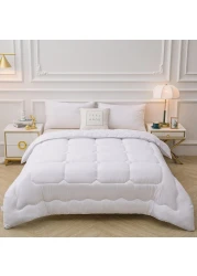 GOLDEN HOME Comforter Duvet Quilt Insert Full White Down Alternative All Season Microfiber (Single (160x210 cm)