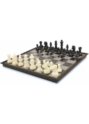 Generic Foldable Chess Board 12 Inch
