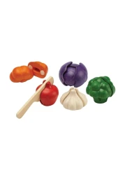 Plantoys Wooden 5 Colors Veggie Set
