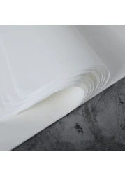 Skyygemm 50 Sheets Chinese Calligraphy Writing Rice Paper for Craft 10.2 x 14.2 Inch Chinese Japanese Paper Drawing Calligraphy Practice Paper Sketch Painting Xuan Paper Without Grids Art Supplies