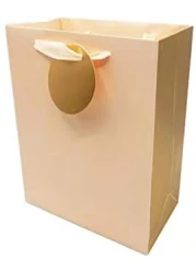 Beautiful Present Bag for any Occasion, Paper Gift Bag (23x18x10cm) (S) Unique Design with Durable Ribbon Handles (Pack of 1 Unit).