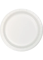 Creative Converting Touch of Color Paper Round Luncheon Plates 24-Pieces- 7-Inch Size- White