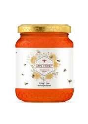 Raw Himalayan Honey 500g