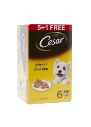 Cesar Chicken Flavoured Wet Food for Dog, 100g Pack of 6