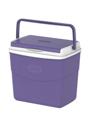Cosmoplast Picnic Icebox 20L (Assorted Color,Randomly picked)