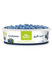 Blueberries Premium 250g