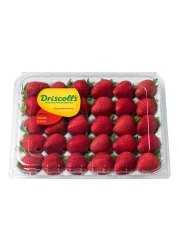 Driscoll's Strawberries 850g