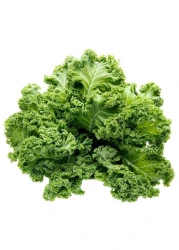Curly Kale