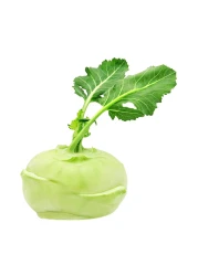 Kohlrabi