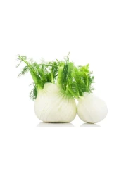 Fennel (Saumph)