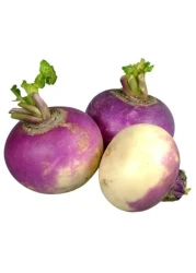 Turnip