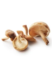 Shitake Mushroom 200g