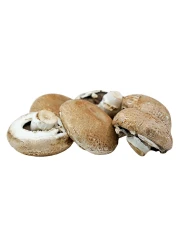 Portobello Mushroom