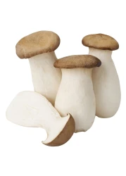 King Oyster Mushroom 500g